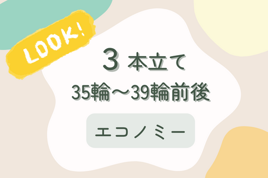 胡蝶蘭3本立て35~39輪前後