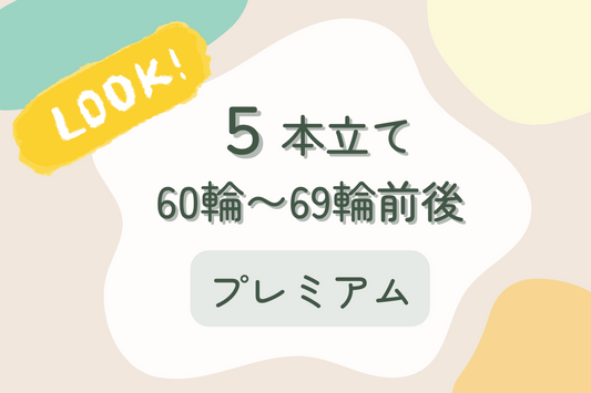胡蝶蘭5本立て胡蝶蘭60~69輪前後