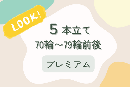 胡蝶蘭5本立て70〜79輪前後