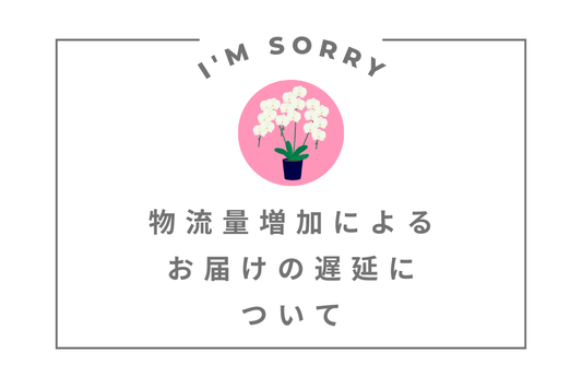 物流量増加によるお届けの遅延について
