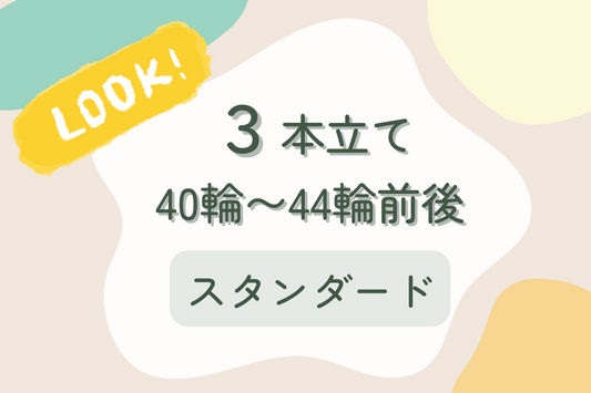 胡蝶蘭3本立て40輪から44輪前後