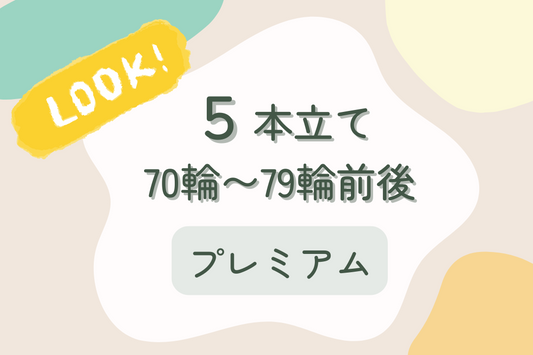 胡蝶蘭5本立て70〜79輪前後　